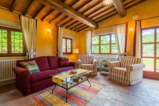 Primerose - Greve in Chianti - 6