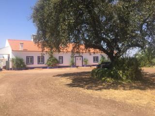 Tarola Place, a unique country house! - São Cristóvão - 3