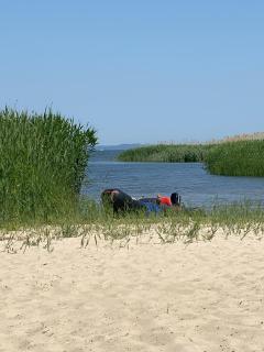 Ferienwohnung Ostwind am Strand - Grambin - 6