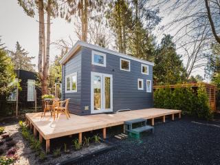 vakantiehuisje Tiny house met sauna in de bossen van de Veluwe - Putten - 6