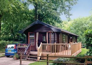 Lime Tree Park - 2