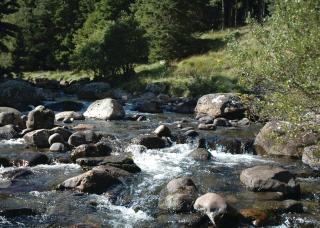 Glen Clova Lodges - 1