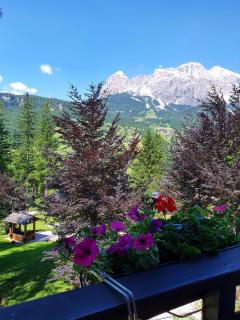 B&B Cristallo - 2