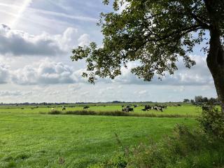 Ferienwohnung Bruns - Ihlow - 7