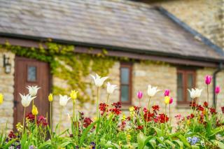 Carters cottage - 4