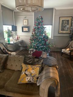 Ingram House with Hot Tub - 7