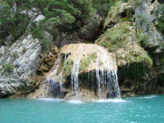 Provence and Lavender - 5