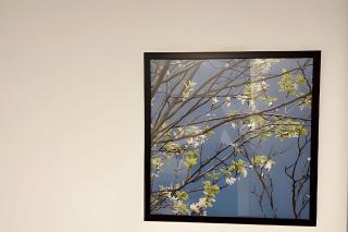 Lindo Apto 2 quartos no Solar Tambaú - 4