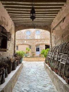 Château de Puichéric - Puicheric - 7