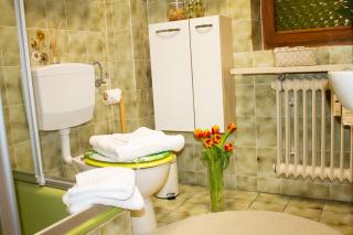 Ferienwohnung in Schönwald Schwarzwald - Schönwald - 1