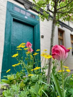 Ferienwohnung am Quedlinburger Stadtbad - 4