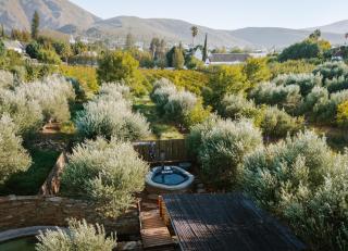Olive Stone Farm Cottages - Montagu - 2