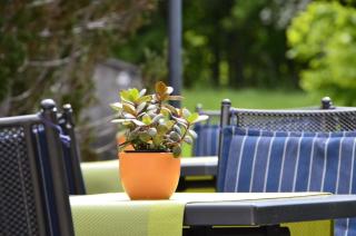 Hotel Gasthof Am Forsthof - Sulzbach-Rosenberg - 4