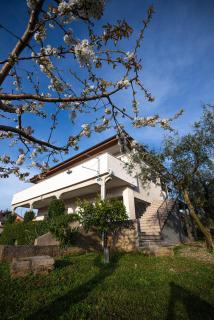 Olive Garden Apartment - 3