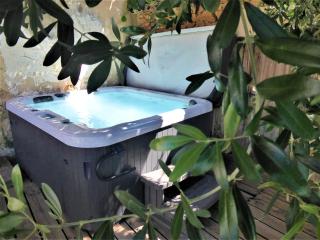 gite de caractere au calme au milieu des vignes avec piscine et jaccuzi - Bagnols-sur-Cèze - 7