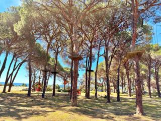 Pineta sopra il mare - Santa Margherita di Pula - 8
