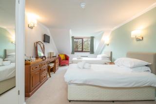 Trewern Arms Hotel - Newport - 5