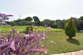 Kokkinia Gardens - 5
