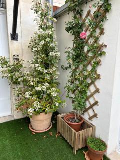 Détours en Provence - Lavande 3* - Châteaurenard - 6