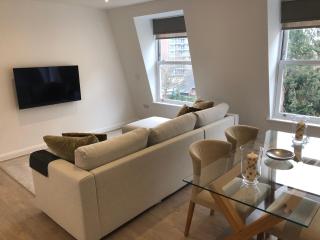 New! Fantastic 1 Bedroom Flat SW6 near Central London - Londra - 5