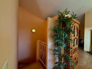 Apartment Pioppa for 4 - Porto-Vecchio - 4