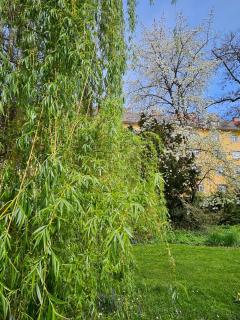 Golden Flat by GrazRentals with parkview - brandnew & free parking - Graz - 6