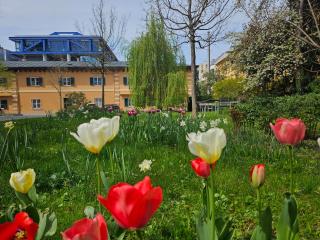 Golden Flat by GrazRentals with parkview - brandnew & free parking - Graz - 8