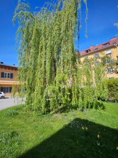 Golden Flat by GrazRentals with parkview - brandnew & free parking - Graz - 9
