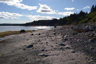 Beautiful oceanfront cottage - 6