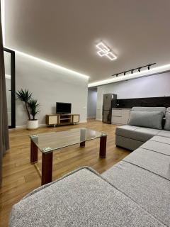 Beautiful Apartment in Tbilisi - Tbilisi - 0