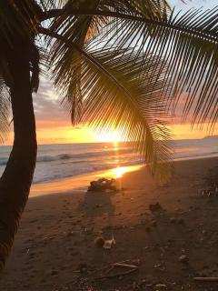 Casa’ Mapola : typical beach jungle house - Pavones - 2