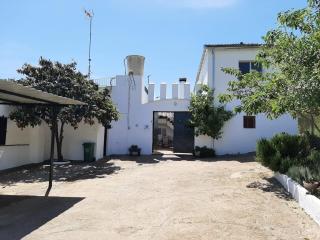Ländliche Touristenunterkunft Cortijo de Liche, große Gruppen in Arcos de la Frontera - 3