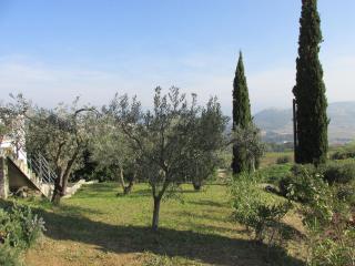 L'Amiradou , La Cadiere D Azur - Saint-Côme - 1