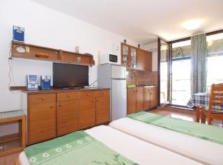 Ferienwohnung für 4 Personen ca 32 qm in Segotici, Istrien Südküste von Istrien - Pavicini - 3