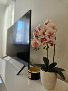 Apartman Marević - Makarska - 6