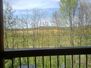 Hocking Hills Cabin on the Hill at Laurel Springs Farm - 8