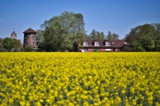 Ferienwohnung "Pilsum" - Krummhörn - 4