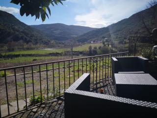 Au coeur des vignes, entre montagnes et rivière - 0