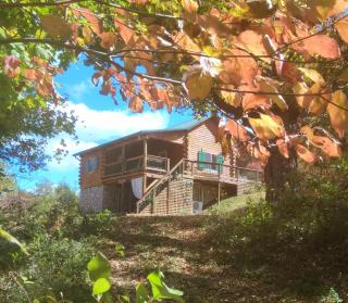 Hocking Hills Cabin on the Hill at Laurel Springs Farm - 0