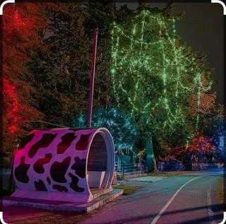 Hillside cottage tanah rata - 7