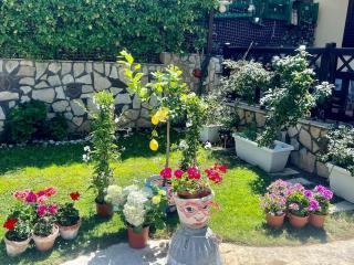 Villa Eco-Chic - Carini - 4
