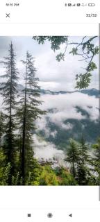 Jannat Cottages & Treehouse - 3