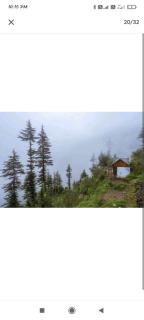 Jannat Cottages & Treehouse - 1