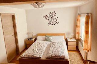 Gemütliches Appartement in Pflach - Pflach - 8