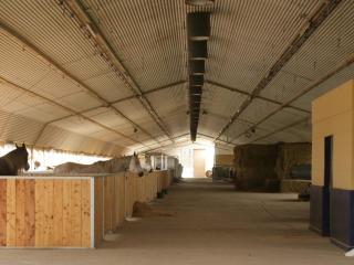 Oase Friedensthal - 3