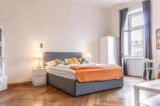 Gorgeous 1BR Apt near AKH Hospital - 2