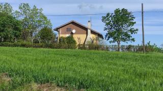 Villa Elisa - Cuccurano - 5