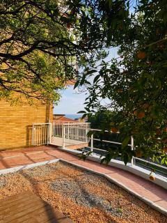 Home Garden - Varazze - 9