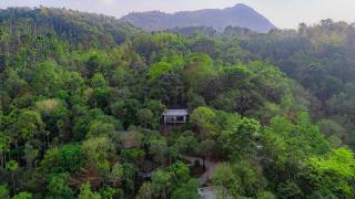 The Hive, Wayanad - Wayanad - 2