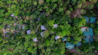 The Hive, Wayanad - Wayanad - 0